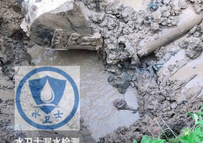 七台河水管漏水检测公司5
